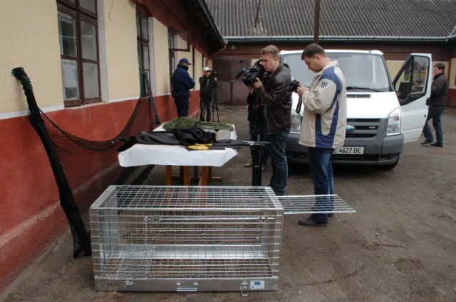 У Чернівцях зявився перший спеціалізований автомобіль для транспортування безпритульних тварин (фото) — фото 5